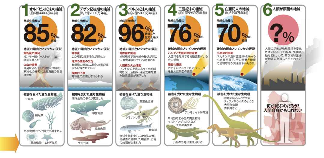 生物大量絶滅の危機 迫りくる6回目の“大絶滅”、そのとき人間はどう生きる Ohtabookstand